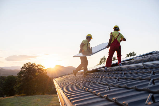 Best Roof Moss and Algae Removal  in Cherry Hill, VA